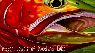 Dry Fly Fishing: Indian Peaks Wilderness Area: Woodland Lake & Skyscraper Reservoir, July 2020