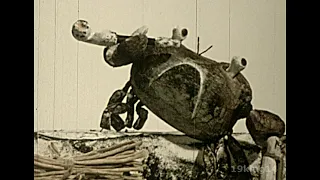 1974 - The Monkey and the Crab - Stop Motion