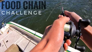Food Chain Fishing Challenge in Zimbabwe !(Tiny Worm to MONSTER Fish)