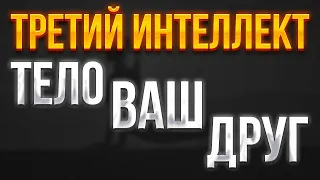 Третий интеллект. Телесный интеллект. Тело язык бессознательного. Тело всегда говорит правду.