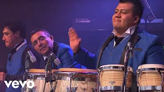 Los Ángeles Azules - Cumbia Coqueta (Live)