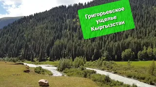 Григорьевское ущелье (Кыргызстан) /Grigoryevsky gorge ( Kirghizstan)