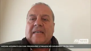 ANZIANA AZZANNATA DAI CANI: PROSEGUONO LE INDAGINI DEI CARABINIERI | 22/04/2024