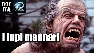 I lupi mannari | Documentario in italiano sul Mistero