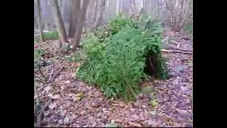 How to make a Debris Shelter.wmv