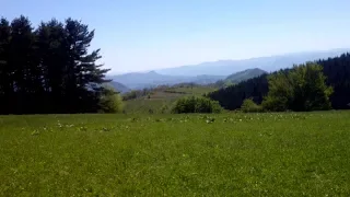 Vidikovac Mackov Kamen Planina Jagodnja - Viewpoint Mackov Kamen Mountain Boranja