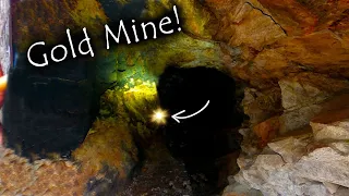 Found GOLD in an abandoned gold mine!