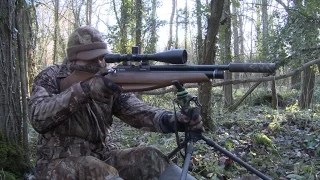 The Airgun Show – woodland pest control with scope cam, plus IWA 2016 and Hawke Airmax 30 SF