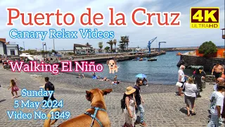 Tenerife 🏝️ Puerto de la Cruz 5 May 2024 Teneriffa