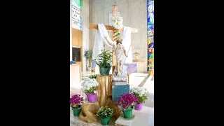 Friday of Fourth Week of Easter - 12:00pm Mass