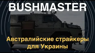 Bushmaster: Австралийские страйкеры для ВСУ