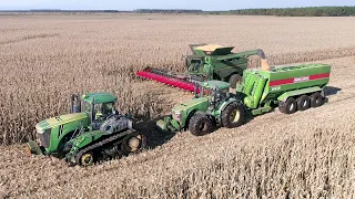 DEERE PORN 🔞 XXL Corn Harvest in France ! 100ha | 28 rows | HARD CONDITIONS