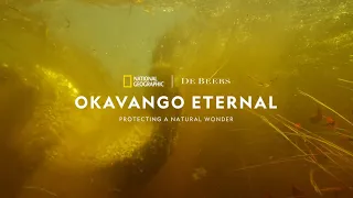 What is the Okavango?