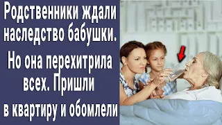 Родственники ждали наследство. Но бабушка обхитрила всех. Пришли в квартиру и обомлели