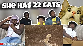 Animal Hoarder House - 22 Cats 🐱😱 (REACTION)