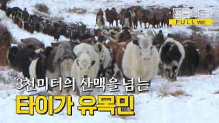 [풀버전] 야크와 순록 유목민들의 대이동 l 와일드 몽골리아 2부 - 타이가의 순례자들 l KBS 걸작다큐멘터리 121204 방송