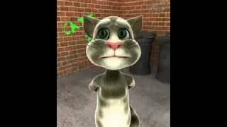 elaiza's cat song