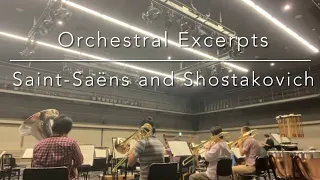 Orchestral Excerpts / Saint-Saëns and Shostakovich from 1000days Practice Challenge