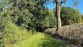 Rougham Estate Walks - Meadows Walk near Lake Farm