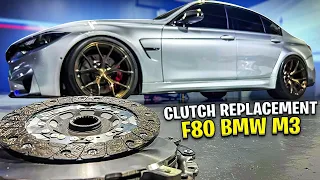 STOCK F80 CLUTCH CAN’T TAKE EXTRA POWER #f80m3
