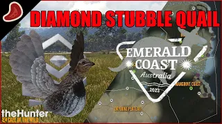 Diamond Stubble Quail While Unlocking More of Emerald Coast!!! | theHunter: Call of the Wild