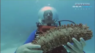 Underwater Classroom: SEA CUCUMBER