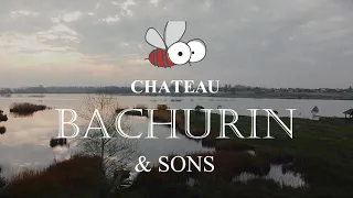 Chateau Bachurin&Sons/ Шато Бачурін Випуск №2 Виноробство України