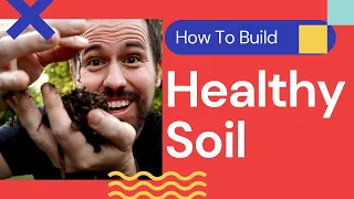 7 Tips To Building A Healthy Soil