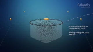 AKVA group - Fish farming - Subsea salmon farming Atlantis