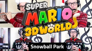 Super Mario 3D World - Snowball Park Woodwinds Cover