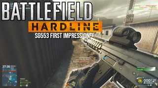 Battlefield Hardline in 2021 Using The SG553 | 4K