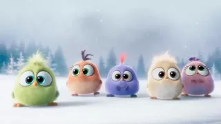 🐥ANGRY BIRDS SEASON'S GREETINGS" FROM THE ANGRY 🐤BIRDS🐥 HATCHLINGS😄