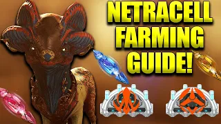 Warframe Netracells Guide! Farm Legendary Melee Arcanes Tauforged Archon Shards And More!