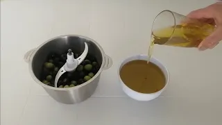 How To Make olive oil at Home | Aicha TV