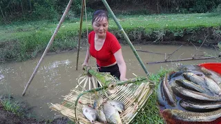 Fishing New video - Use bamboo baskets to drain water from abandoned lakes - Harvesting catch fish