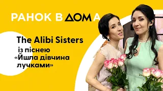 "Йшла дівчина лучками": нова пісня від гурту The Alibi Sisters