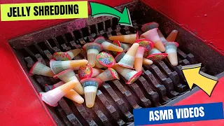 Jelly vs fast shredder machine | New ASMR Shredding