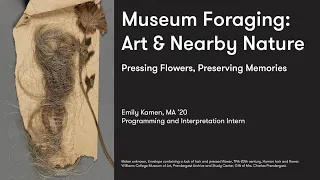 Museum Foraging: Art and Nearby Nature | Pressing Flowers, Preserving Memories