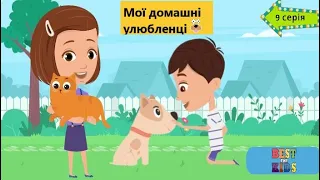 Мої  друзі - домашні улюбленці🐾Розвиваючі мультики українською