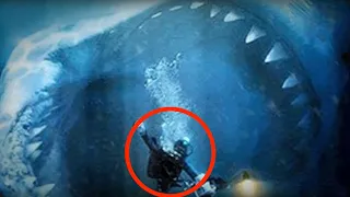 5 Megalodon Sichtungen die mit der Kamera aufgenommen wurden!