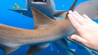 Cameraman Almost Got EATEN by A SHARK! (watch till end)