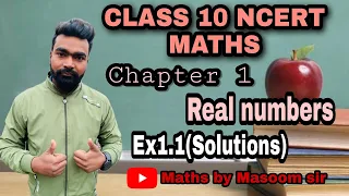 Real numbers |CLASS 10 NCERT MATHS Chapter 1 Ex-1.1 Solutions