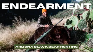 Endearment | Fall Bear Hunting in Arizona