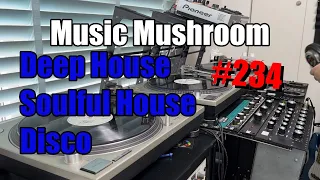 2023 Deep House Mix “The Light and Soul" - BOZAK Vinyl MusicMushroom #234 New York New Jersey