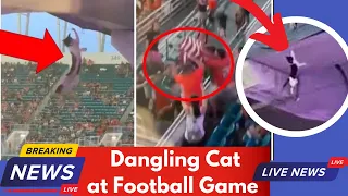 Fans rescue Dangling Cat at Miami Hurricanes Vs Appalachian State Football Game at Hard Rock Stadium