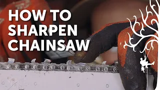 How to Hand Sharpen Round File Chainsaw chain | Tree Worker Tips & Tricks