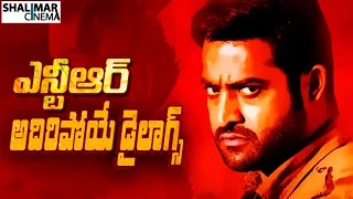 Jr.Ntr All Time Best Punch Dialogues || Telugu Punch Dialogues