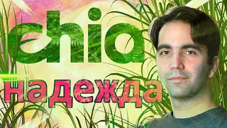 CHIA это НАДЕЖДА /// криптовалюта чиа XCH очень похожа на биткоин и эфир