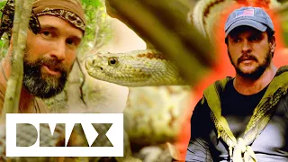 Matt Doesn’t Kill A Snake For Food Because It Was “Beautiful” | Dual Survival