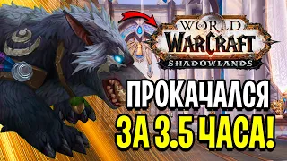 БЫСТРАЯ ПРОКАЧКА В SHADOWLANDS ЗА 3.5 ЧАСА! КАК ЭТО ПОЛУЧИЛОСЬ? WOW